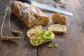 Half sliced baguette or French bread topped with green spring onions on a rustic wooden table, copy space Royalty Free Stock Photo