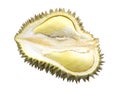 Half sliced durian isolated Royalty Free Stock Photo