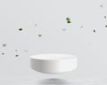 Half sphere mockup floating on water with leaf falling background. Futuristic technology digital hi tech concept
