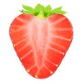 Half of strawberry isolated on a white. Royalty Free Stock Photo
