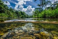 Half-Submerged View of the Amazon River\'s Lush Rainforest
