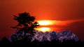 Half sun back red cloud on sunset sky and silhouette tree on the mountain Royalty Free Stock Photo
