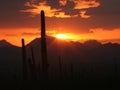 Half Sun Disk with Rays Royalty Free Stock Photo