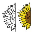 Half sunflower outline and color in doodle style, sunny flower for design