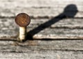 Rusty Nail Head and Shadow on Old Wood Royalty Free Stock Photo