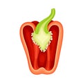 Half of Sweet Red Bell Pepper Vegetable Ingredient for Culinary Vector Illustration
