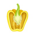Half of Sweet Yellow Bell Pepper Vegetable Ingredient for Culinary Vector Illustration