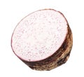 Half of Taro isolated on white background Royalty Free Stock Photo