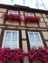Half-timbered house with window and flowers Royalty Free Stock Photo