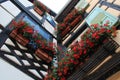 half-timbered houses and geraniums - obernai - france Royalty Free Stock Photo