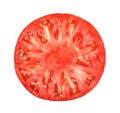 Half of tomato isolated on the white background Royalty Free Stock Photo