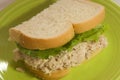 Half of a tuna salad sandwich Royalty Free Stock Photo