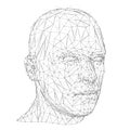 Half-Turn of Futuristic Mesh Polygonal Head