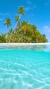 HALF UNDERWATER: Crystal clear water splashes over lens filming exotic island. Royalty Free Stock Photo