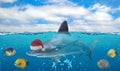 Half underwater photo of tropical paradise with a group of fishes and big shark with Santa Claus hat Royalty Free Stock Photo