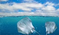 Half underwater photo of tropical paradise with group of Southern stingray- DASYATIS AMERICANA