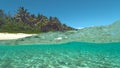 HALF UNDERWATER: Spectacular view of the crystal clear ocean and exotic beach. Royalty Free Stock Photo