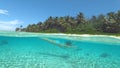 HALF UNDERWATER: Young woman on holiday diving in the crystal clear ocean water. Royalty Free Stock Photo