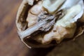 Half a walnut core macro Royalty Free Stock Photo