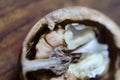 Half a walnut core macro Royalty Free Stock Photo