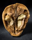 Half Walnut Royalty Free Stock Photo