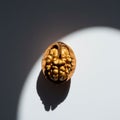 Half of a walnut (Juglans regia) on a white surface, brightly lit, casting a distinct Royalty Free Stock Photo