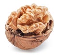 Half of walnut in walnut nutshell, isolated on white background, maximum sharpness achieved by stack photography method, clipping Royalty Free Stock Photo