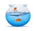 Half water filled fish bowl or tank with two gold fish within it. Goldfish in a bowl Royalty Free Stock Photo