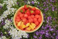 half of a watermelon filled with decorative fruit, flowerbed surrounding