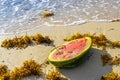 Half watermelon lies on the beach and in water waves