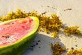 Half watermelon lies on the beach and in water waves