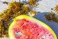 Half watermelon lies on the beach and in water waves