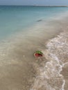 Half a watermelon washed up on the beach Royalty Free Stock Photo