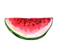 Half watermelon on a white background