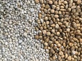 Half White and brown pebbles stone texture and background