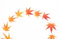 Half wreath made from Japanese maple leaves. Hello autumn concept Royalty Free Stock Photo