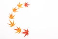 Half wreath made from Japanese maple leaves. Hello autumn concept Royalty Free Stock Photo