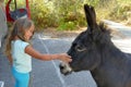 4 and a half year old girl caresses a donkey Royalty Free Stock Photo