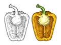 Half yellow sweet bell pepper. Vintage vector engraving Royalty Free Stock Photo