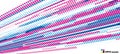 Halftone background with perspective dotted surface by blue and cerise dots