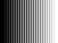 Halftone gradient lines Black vertical parallel stripes