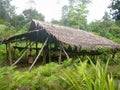 A halfway house in the interior of Papua-Wondama City
