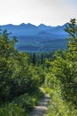Halfway up Mount Healy overlooking Denali National Park Preserve. Royalty Free Stock Photo