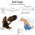 Haliaeetus leucocephalus Bald Eagle geographic range