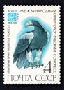 Haliaeetus pelagicus. Birds on post stamp isolated on blac Royalty Free Stock Photo
