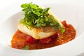 Halibut Fillet Royalty Free Stock Photo