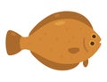 Halibut fish color icon Royalty Free Stock Photo