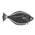 Halibut fish glyph icon