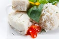 Halibut with rice Royalty Free Stock Photo