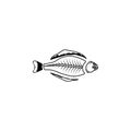 halibut skeleton icon. Fish and sea products elements. Royalty Free Stock Photo